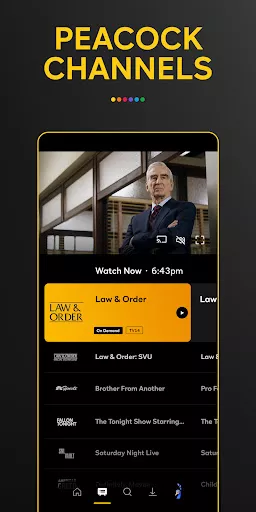 Peacock TV screenshot